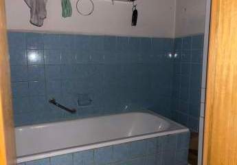 481513-Vorschaubild3