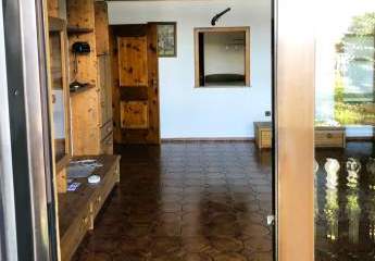 481879-Vorschaubild4