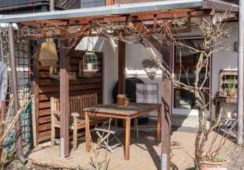 481911-Vorschaubild3