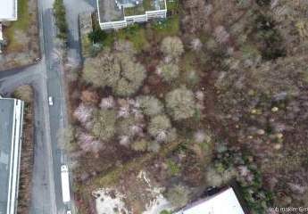 394113-Vorschaubild4