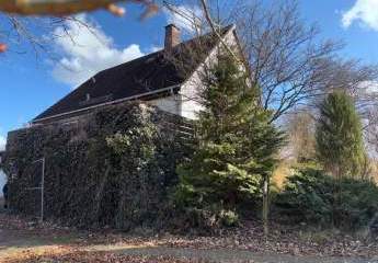 486237-Vorschaubild2