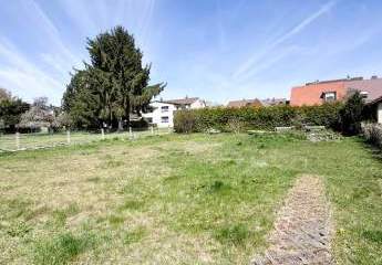 488544-Vorschaubild3