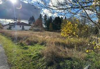 454284-Vorschaubild3