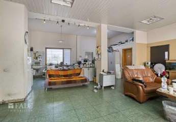 443842-Vorschaubild3