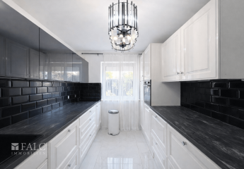 485168-Vorschaubild4