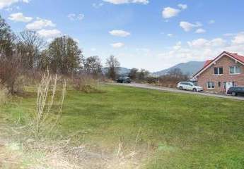 404405-Vorschaubild2