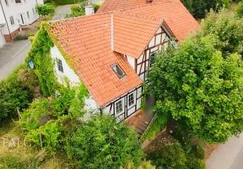 383977-Vorschaubild3