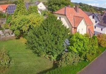 450423-Vorschaubild3