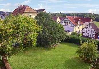 450423-Vorschaubild4