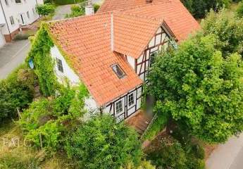 383977-Vorschaubild3