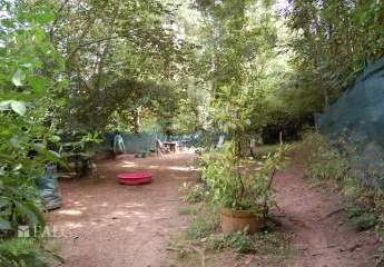 370728-Vorschaubild4