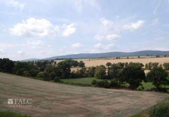 442434-Vorschaubild4