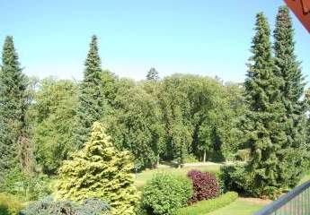 429243-Vorschaubild2