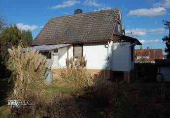 479385-Vorschaubild3