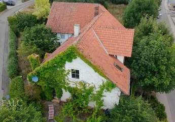 383977-Vorschaubild4