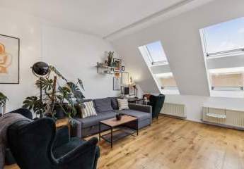 428202-Vorschaubild4