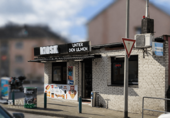 483997-Vorschaubild2