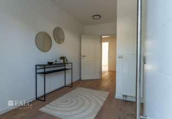 484347-Vorschaubild3