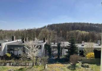 484575-Vorschaubild3