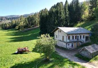 Neue Wohnungen in traditionellem Bauernhaus im Grünen in Tesero - Südtirol / Trentino