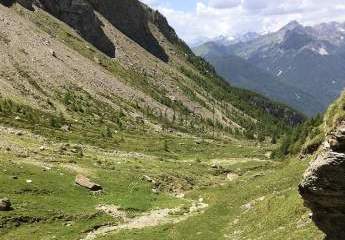 278045-Vorschaubild2