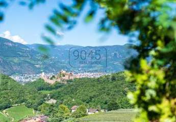 408935-Vorschaubild4