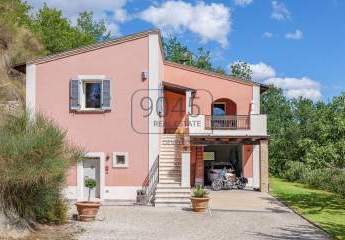 452801-Vorschaubild2