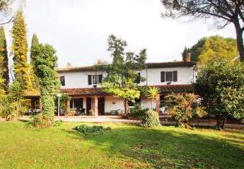 311789-Vorschaubild2