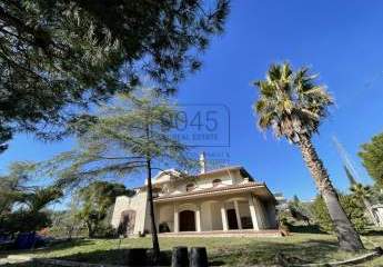 349184-Vorschaubild3