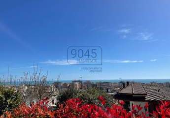 360750-Vorschaubild3