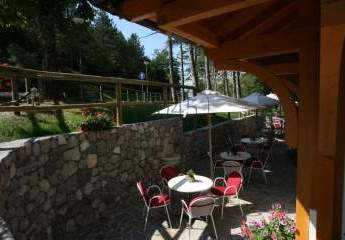 397458-Vorschaubild3