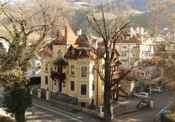 399024-Vorschaubild3