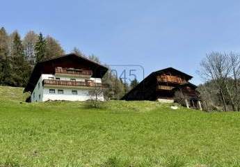 373503-Vorschaubild2