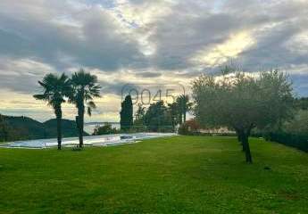 397748-Vorschaubild2