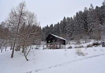 431977-Vorschaubild3