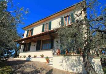 415492-Vorschaubild2