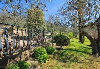 415492-Vorschaubild3