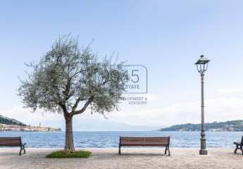 423558-Vorschaubild3