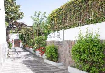 423484-Vorschaubild4