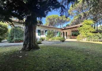 428598-Vorschaubild4