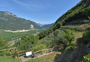 433216-Vorschaubild3