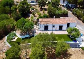 439912-Vorschaubild2