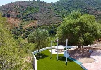 439912-Vorschaubild3