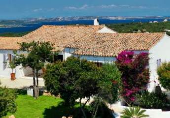 439916-Vorschaubild3