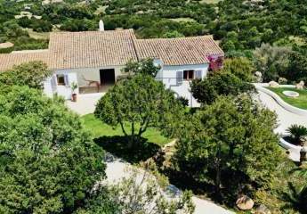 439916-Vorschaubild4