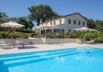 451478-Vorschaubild4