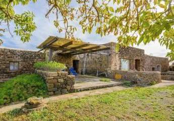 416785-Vorschaubild2