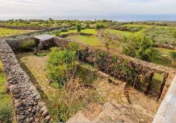 416785-Vorschaubild3