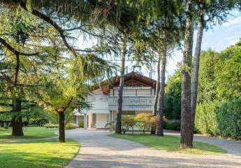 463262-Vorschaubild4