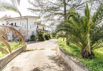 457930-Vorschaubild3